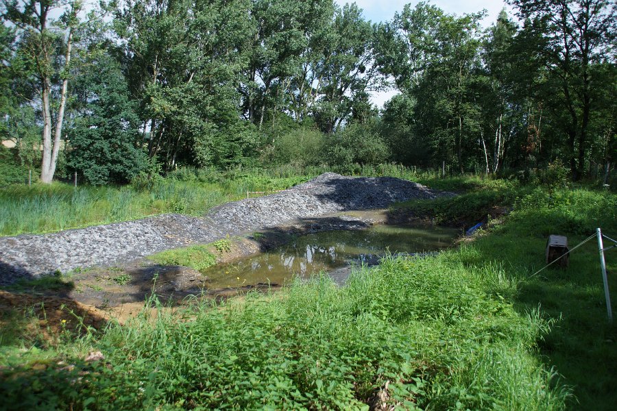 Die Oelschiefergrube Schandelah